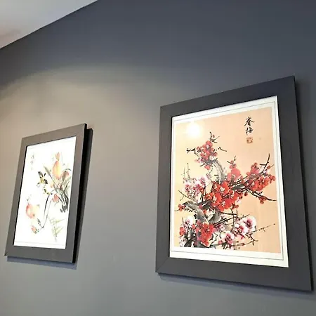 Studette Chabaud Rue Apartment